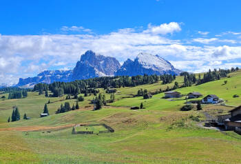 seiser_alm