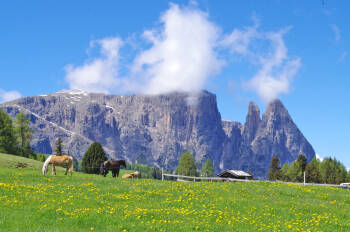 seiser_alm_12